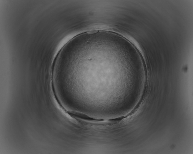 X0000093611389200710221558