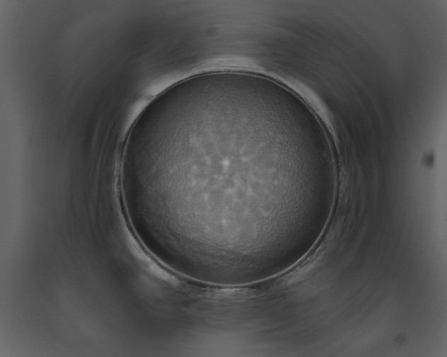 X0000093611390200710221558