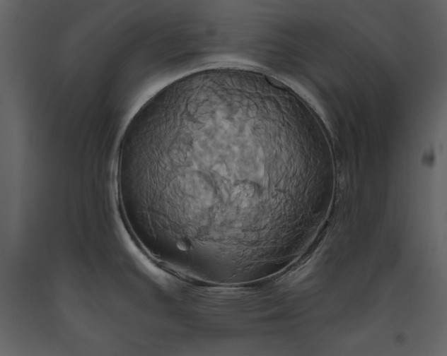 X0000093611391200710221558