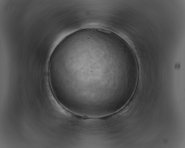 X0000093611392200710221558