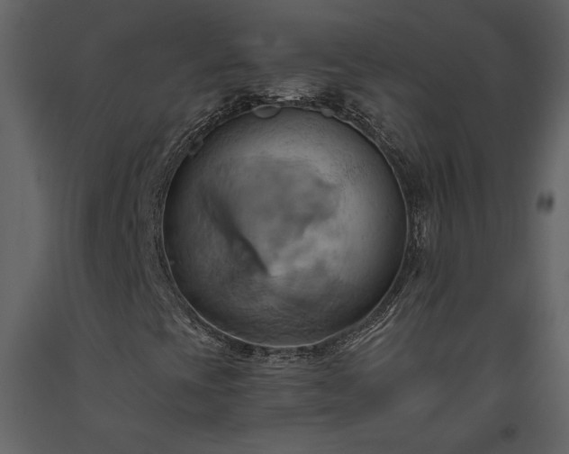 X0000093611393200710221558