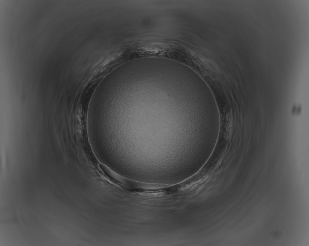 X0000093611394200710221558