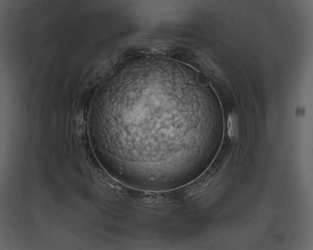 X0000093611395200710221558