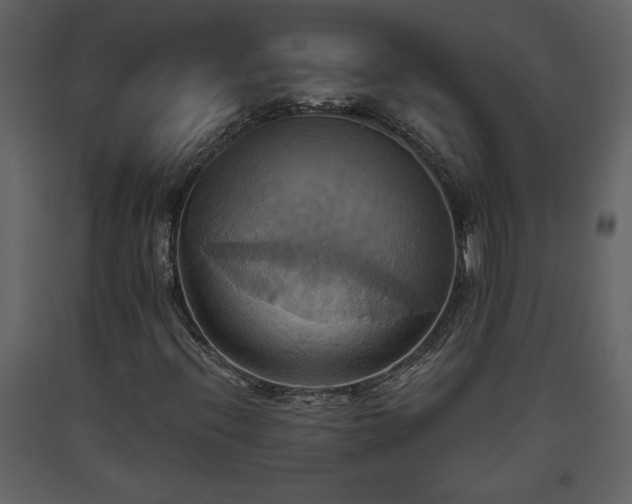 X0000093611396200710221558