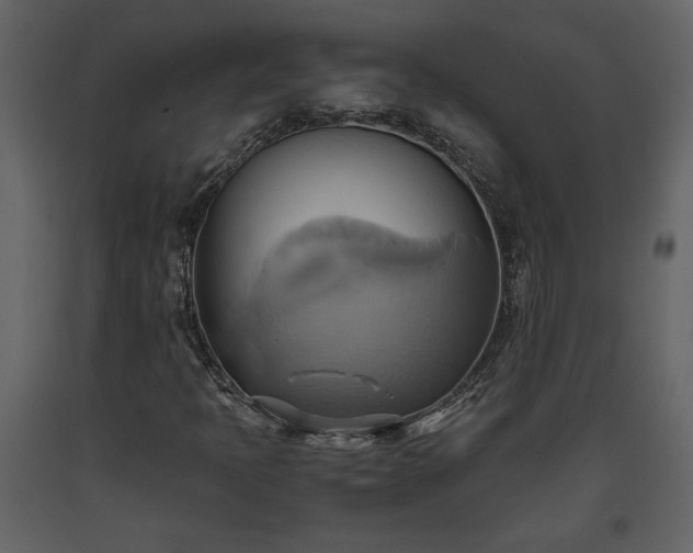 X0000093611397200710221558