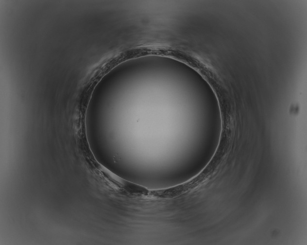 X0000093611398200710221558