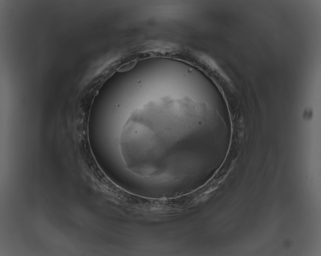X0000093611399200710221558