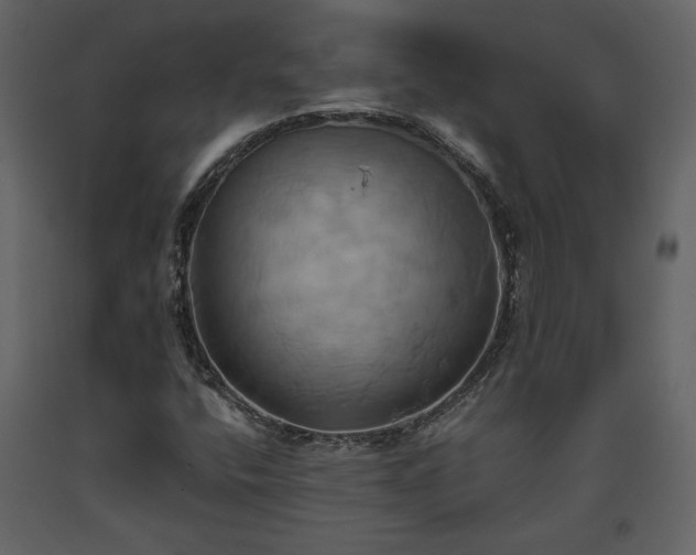 X0000093611400200710221558