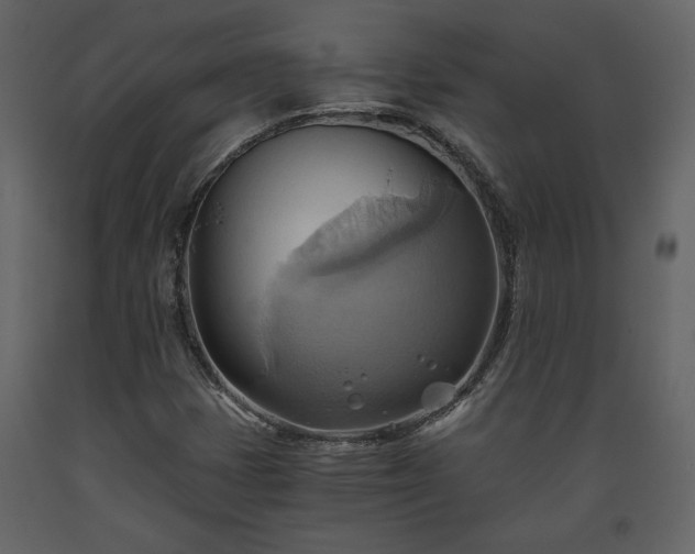 X0000093611401200710221558