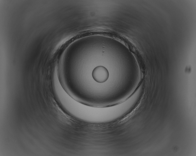 X0000093611402200710221558