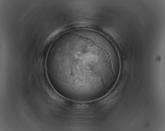 X0000093611403200710221558