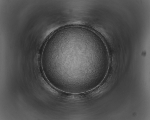 X0000093611404200710221558