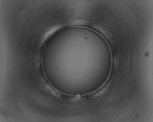 X0000093611405200710221558