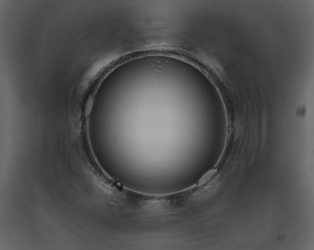 X0000093611406200710221558
