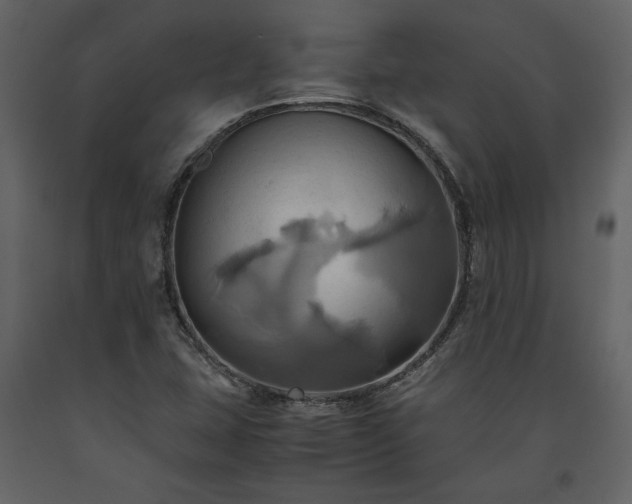X0000093611407200710221558