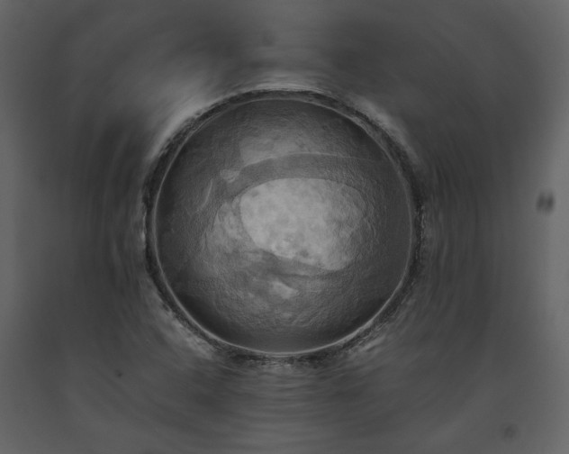 X0000093611408200710221558