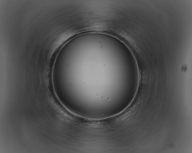 X0000093611410200710221558