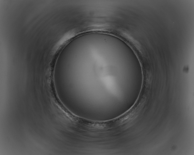 X0000093611411200710221558