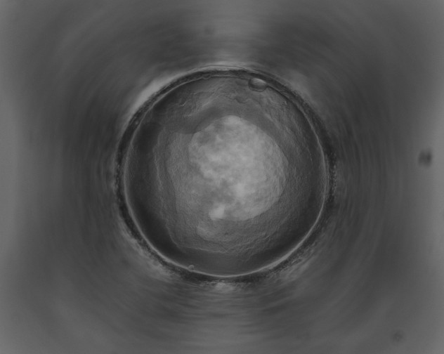 X0000093611412200710221558