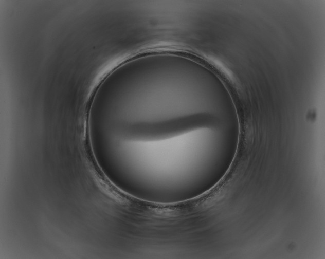 X0000093611413200710221558