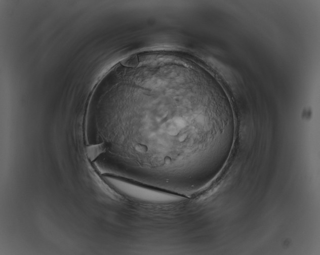 X0000093611417200710221558
