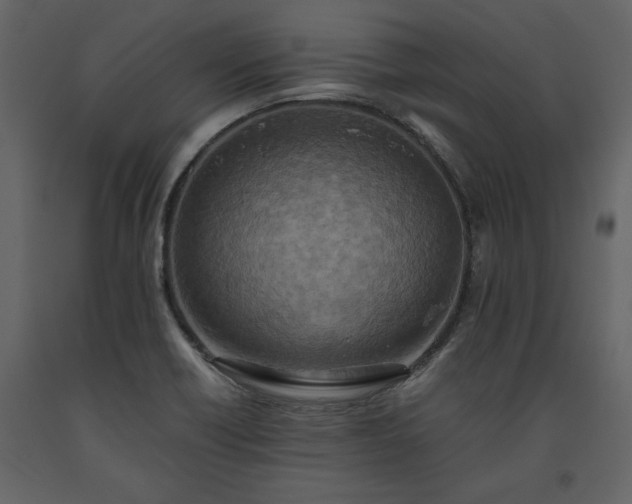 X0000093611418200710221558