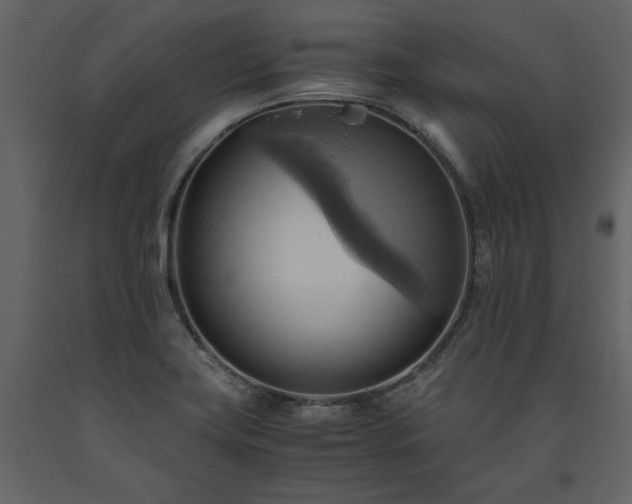 X0000093611419200710221558