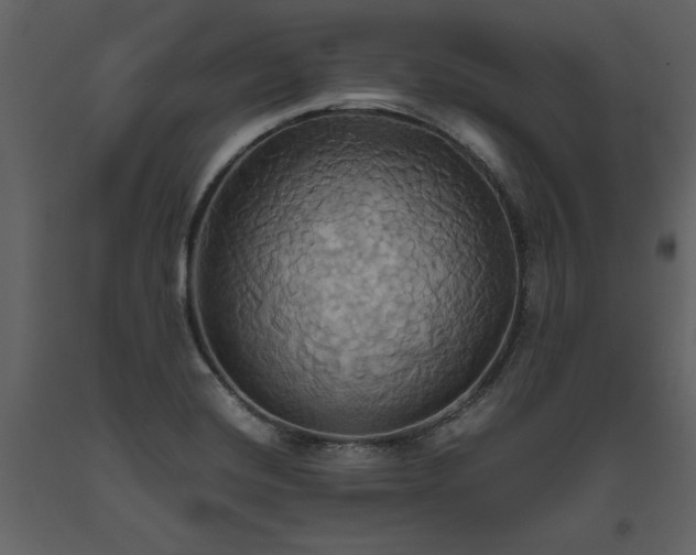 X0000093611420200710221558