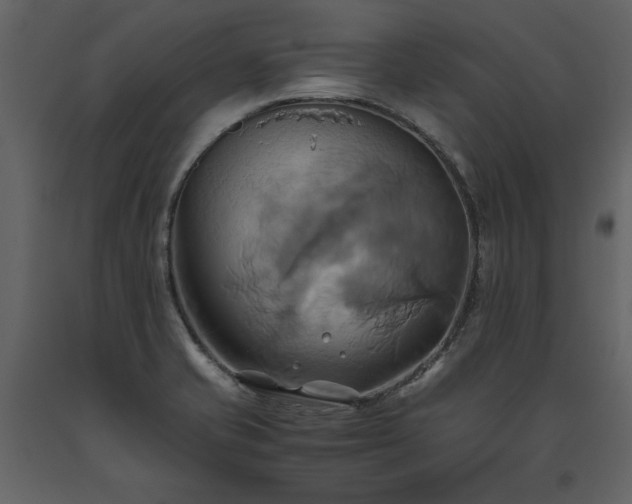 X0000093611421200710221558