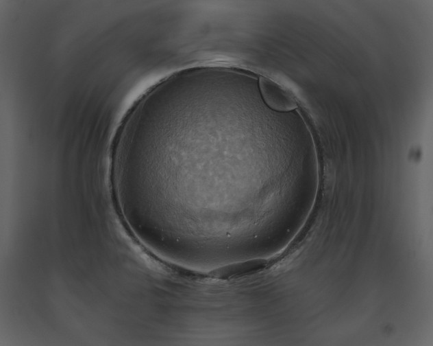 X0000093611424200710221558
