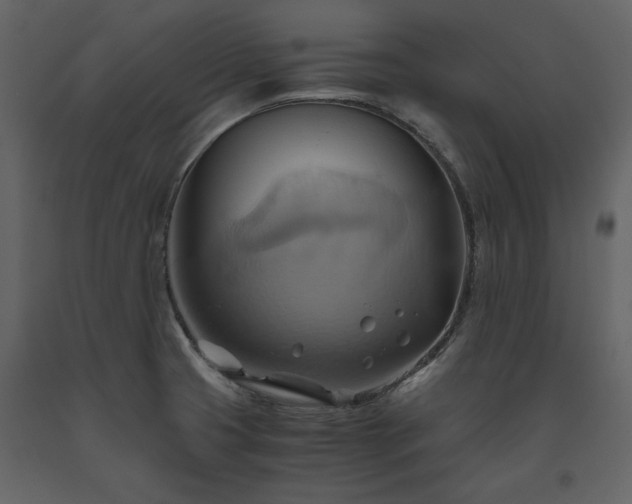 X0000093611425200710221558