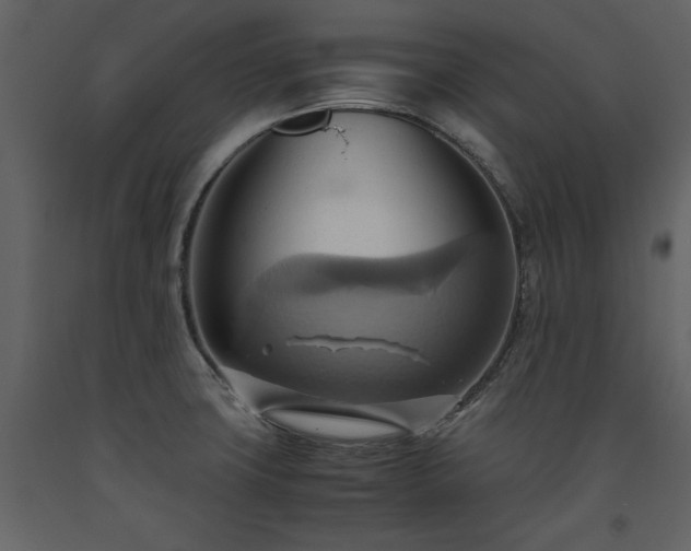 X0000093611427200710221558