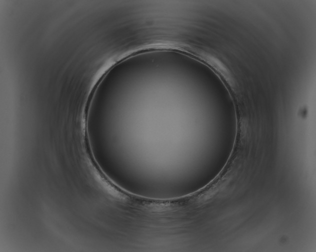 X0000093611428200710221558