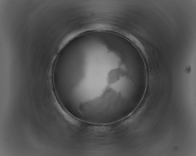 X0000093611429200710221558