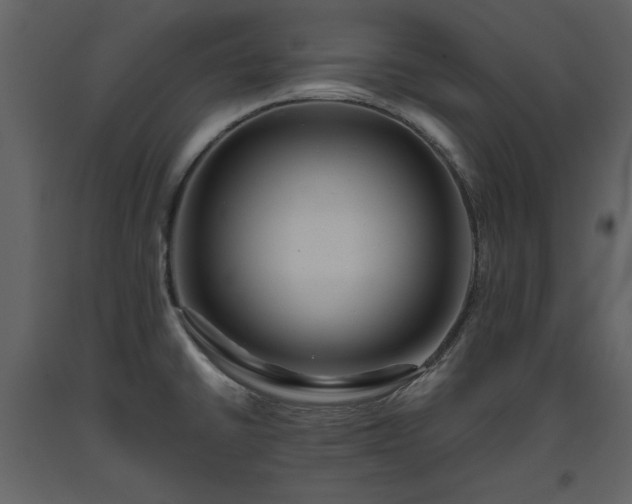 X0000093611430200710221558