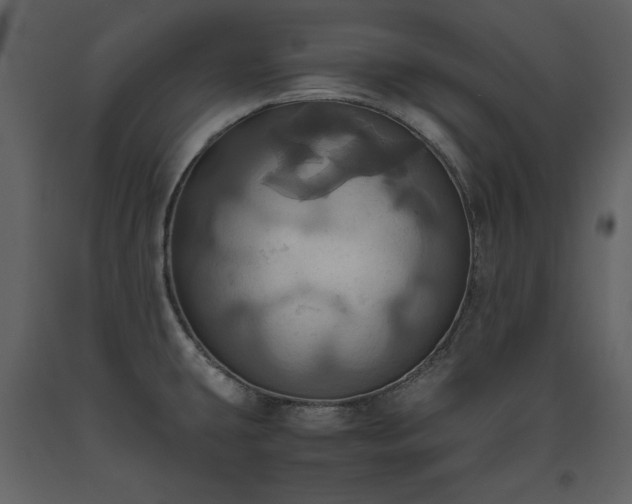 X0000093611431200710221558