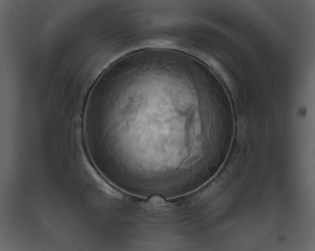 X0000093611432200710221558