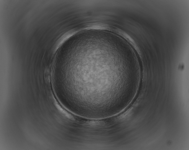 X0000093611433200710221558