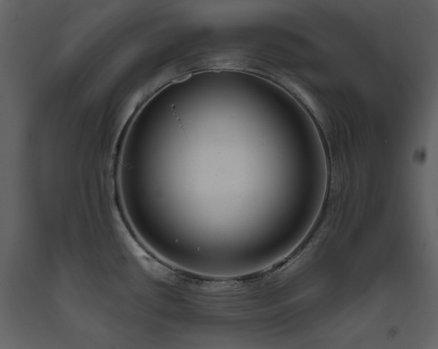 X0000093611434200710221558