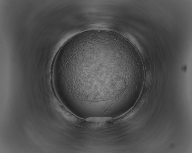 X0000093611435200710221558
