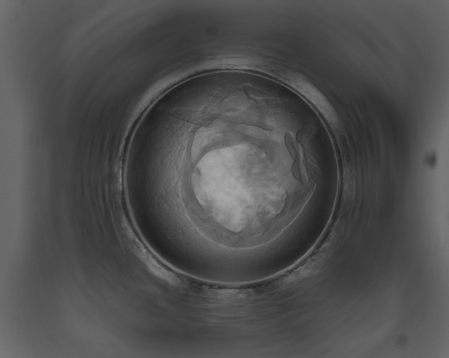 X0000093611436200710221558