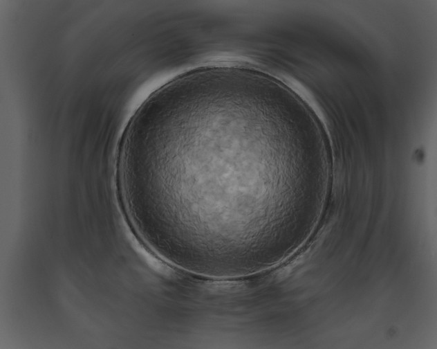X0000093611437200710221558