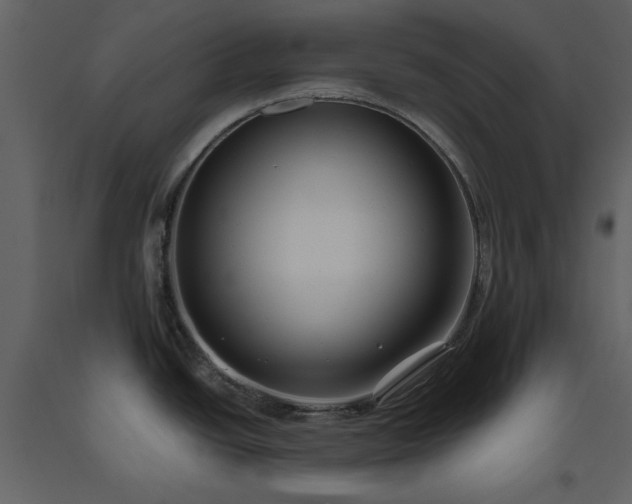 X0000093611438200710221558