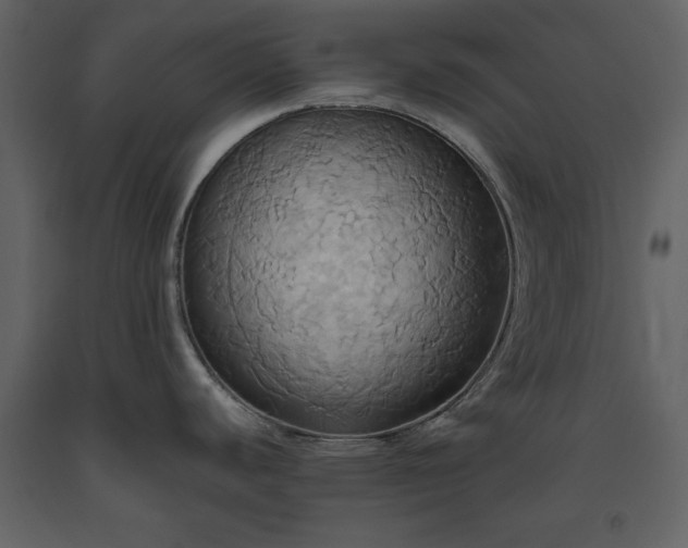 X0000093611440200710221558