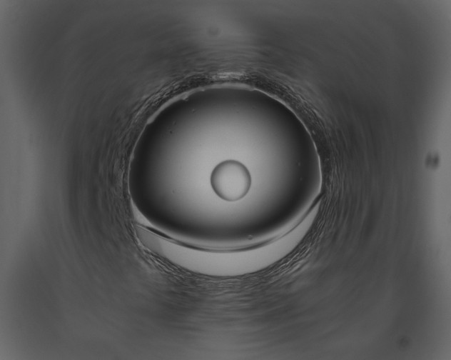X0000093611441200710221558