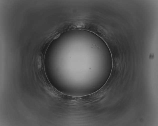 X0000093611442200710221558