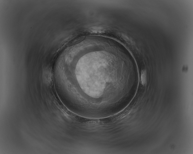 X0000093611444200710221558