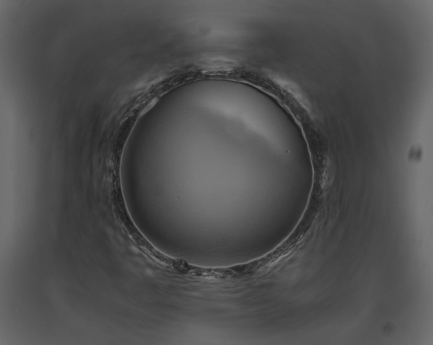 X0000093611445200710221557