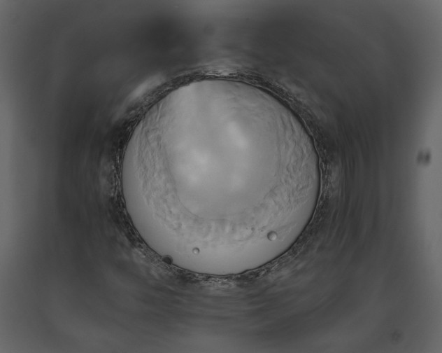 X0000093611446200710221557