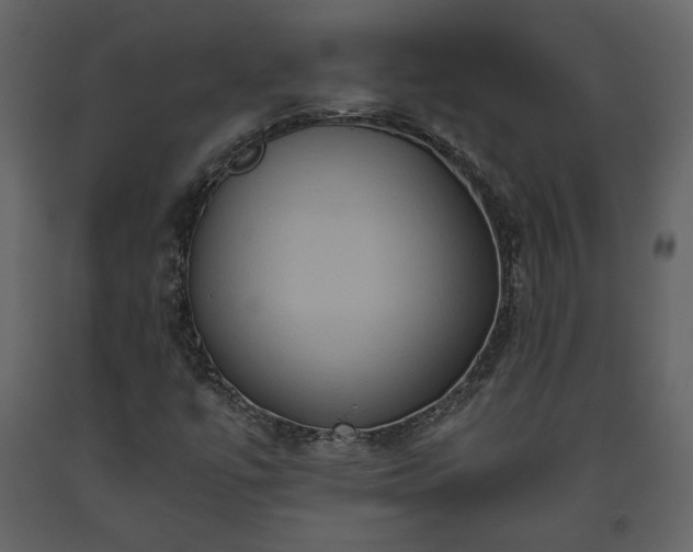X0000093611447200710221557